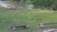 Rosewood Inn image 7